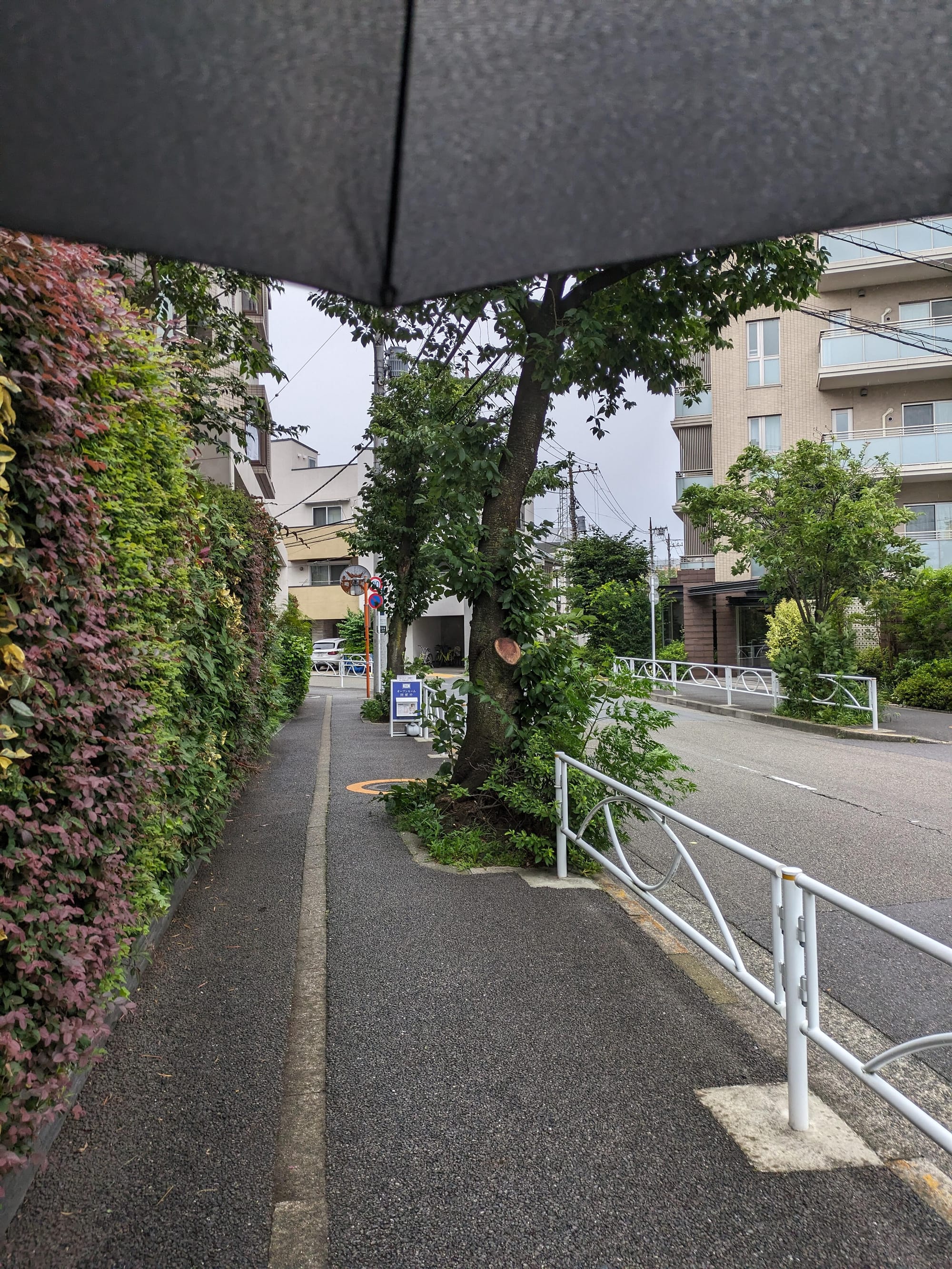 渋谷から日吉まで3時間半歩いて我が家を「渋谷駅徒歩圏内」にする