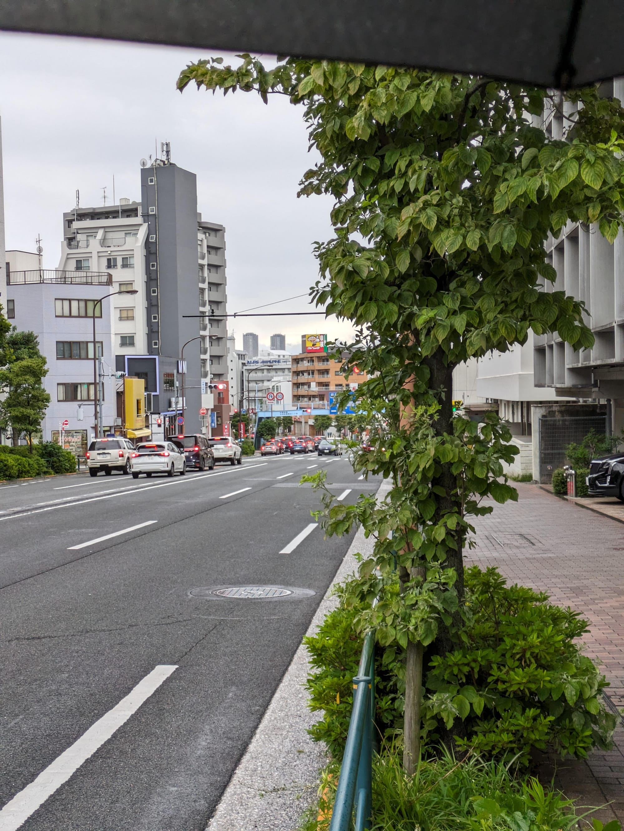 渋谷から日吉まで3時間半歩いて我が家を「渋谷駅徒歩圏内」にする