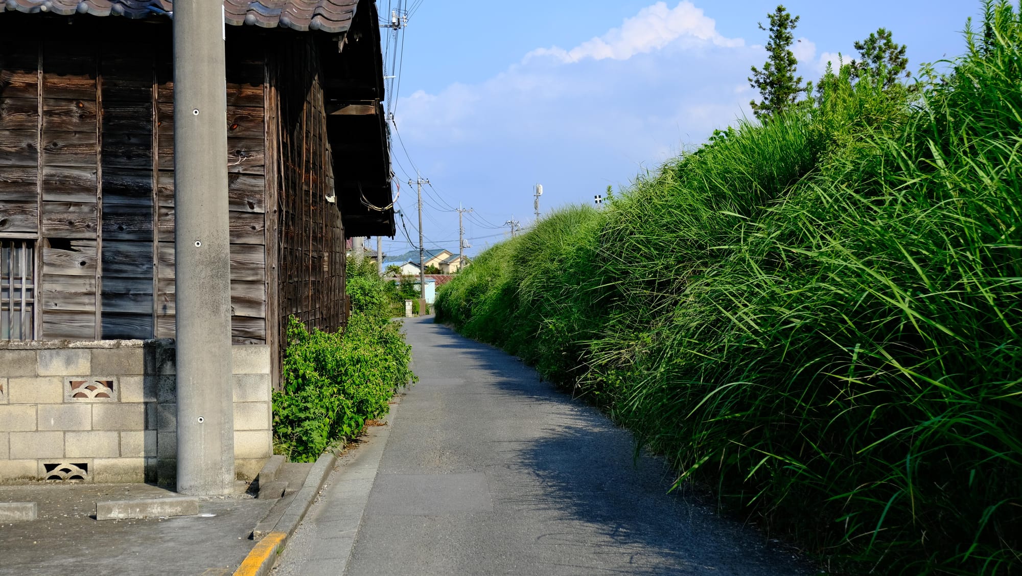 いつも通勤で乗る電車に最後まで乗って、温泉に浸かってきた