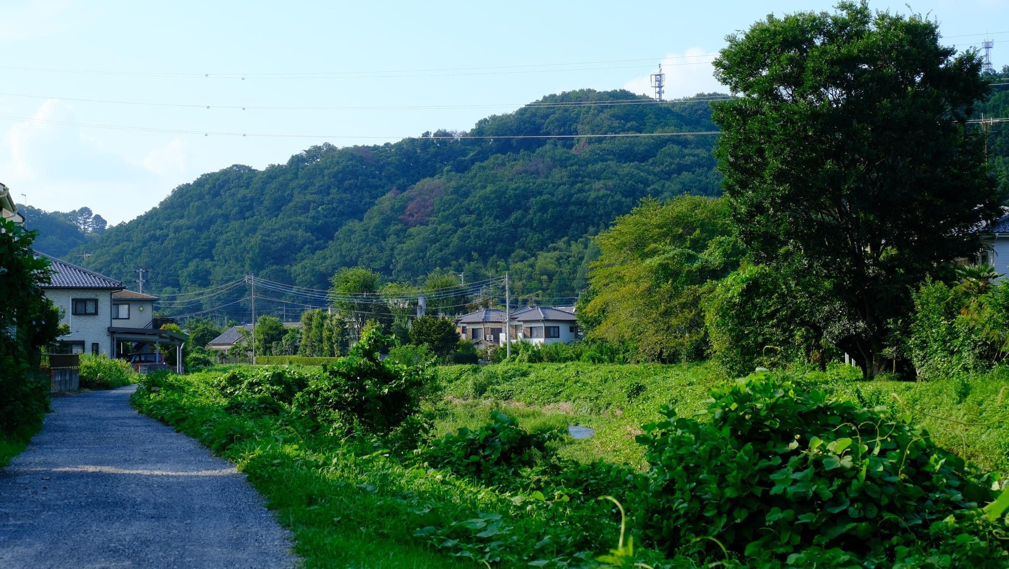 いつも通勤で乗る電車に最後まで乗って、温泉に浸かってきた