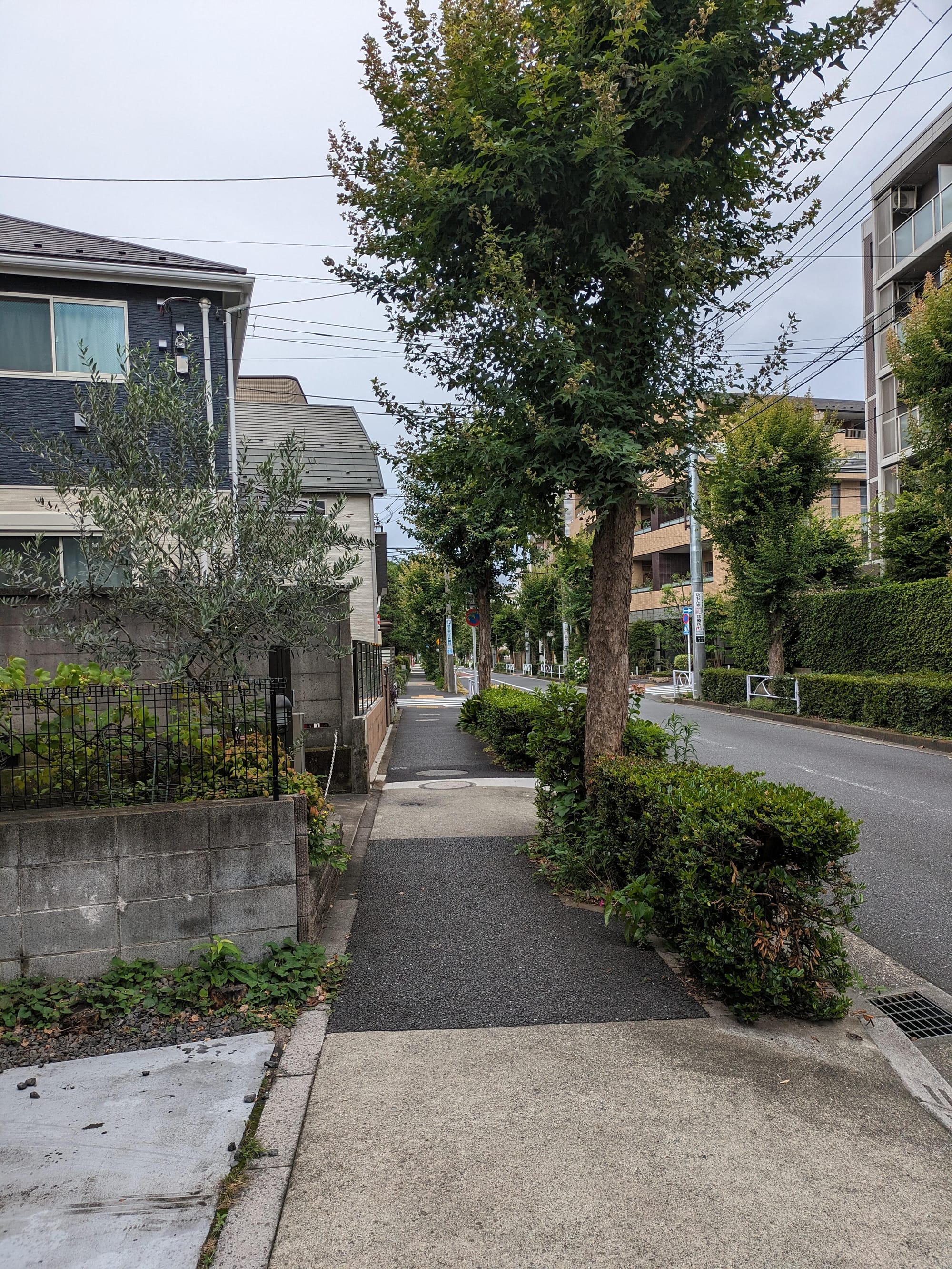 渋谷から日吉まで3時間半歩いて我が家を「渋谷駅徒歩圏内」にする